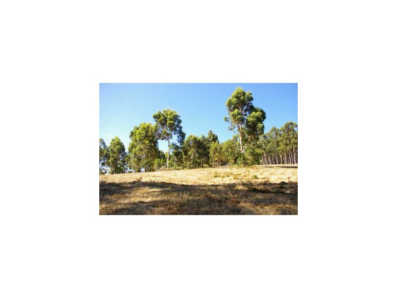 Lot 7 Graphite Road, Nannup WA 6275