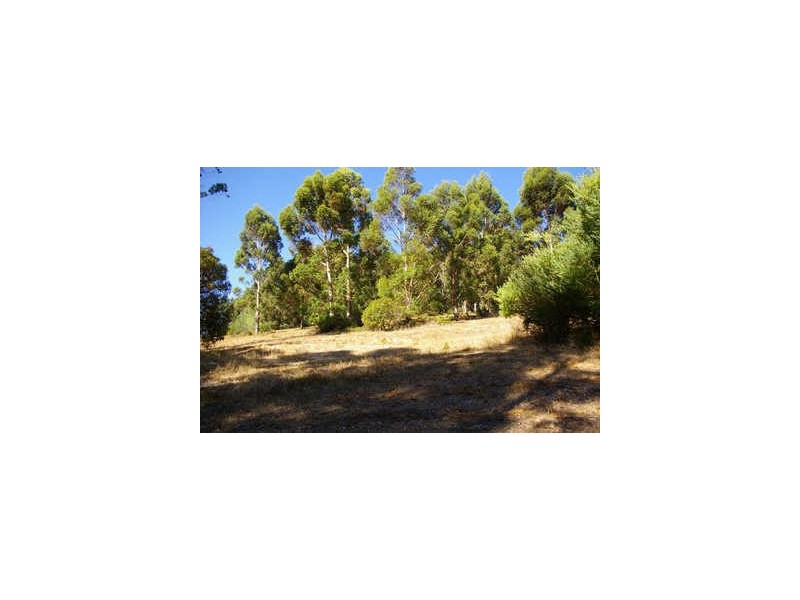 Lot 7 Graphite Road, Nannup WA 6275