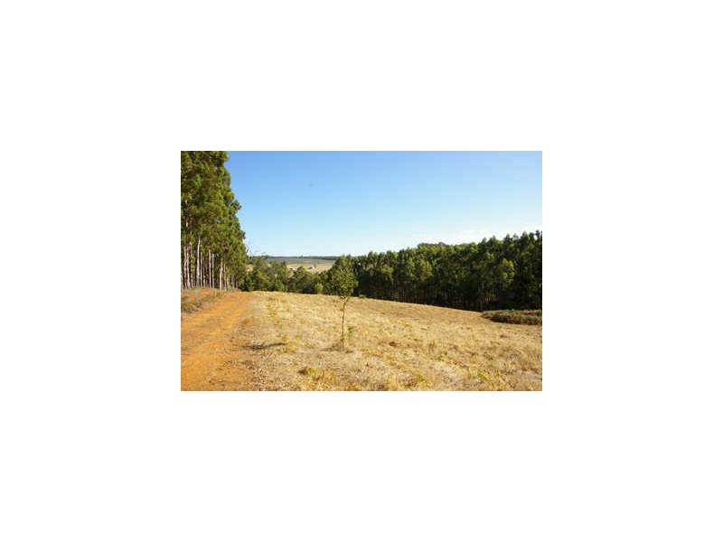 Lot 7 Graphite Road, Nannup WA 6275