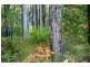 Lot 28 Tanjanerup Agricultural Area, Nannup WA 6275