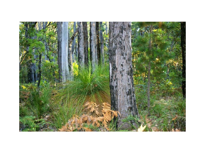 Lot 28 Tanjanerup Agricultural Area, Nannup WA 6275