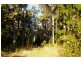 Lot 28 Tanjanerup Agricultural Area, Nannup WA 6275