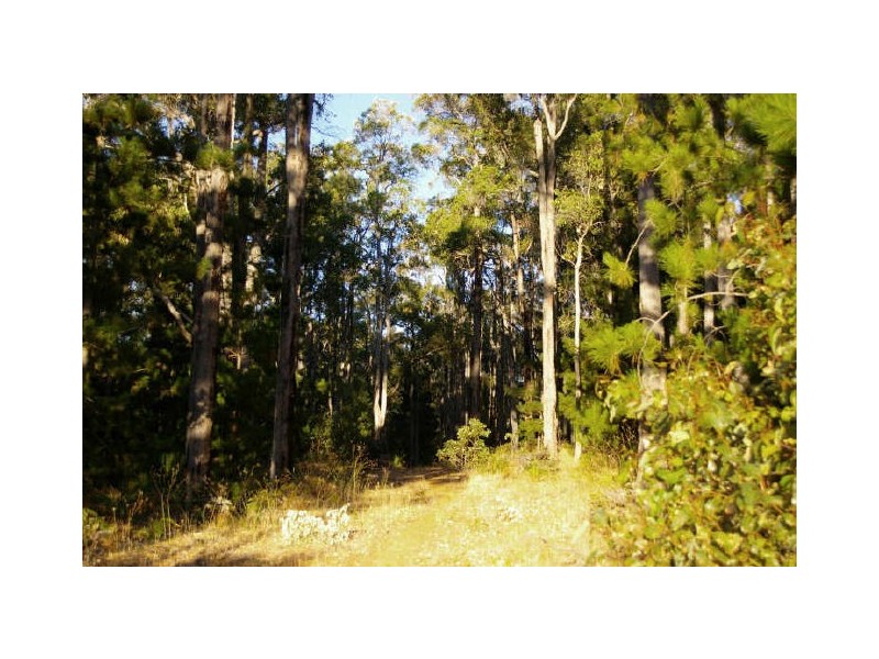 Lot 28 Tanjanerup Agricultural Area, Nannup WA 6275