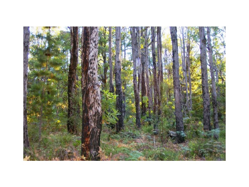 Lot 28 Tanjanerup Agricultural Area, Nannup WA 6275