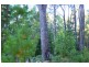 Lot 28 Tanjanerup Agricultural Area, Nannup WA 6275