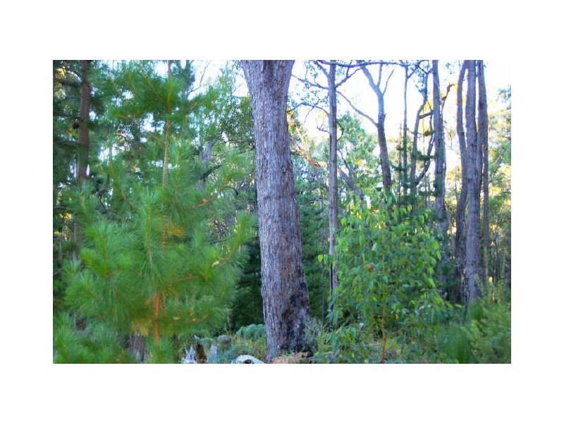 Lot 28 Tanjanerup Agricultural Area, Nannup WA 6275