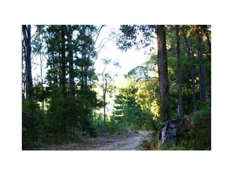 Lot 28 Tanjanerup Agricultural Area, Nannup WA 6275