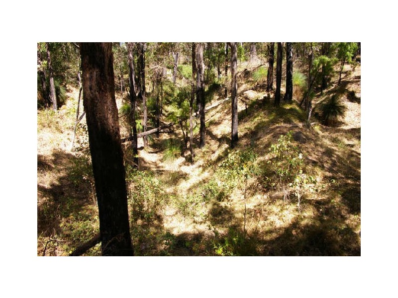 Lot 11172 Gold Gully Road, Nannup WA 6275