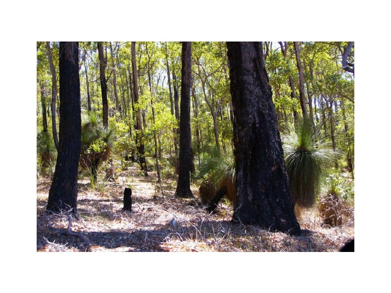 Lot 11172 Gold Gully Road, Nannup WA 6275