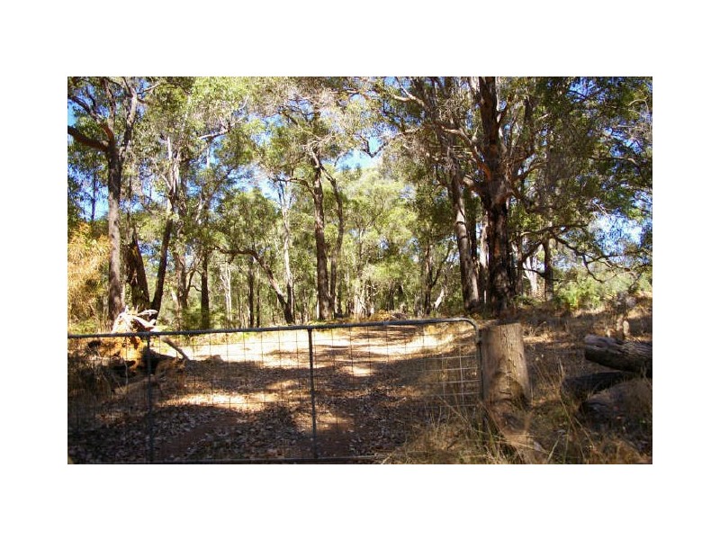 Lot 11172 Gold Gully Road, Nannup WA 6275