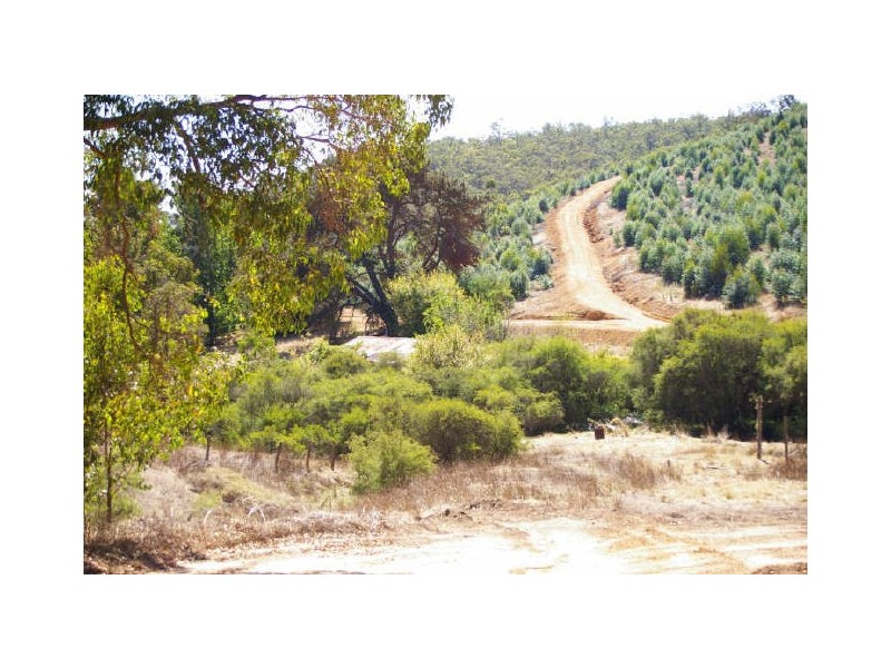 Lot 11172 Gold Gully Road, Nannup WA 6275
