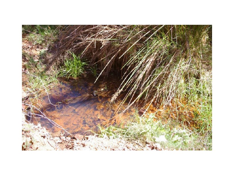 Lot 11172 Gold Gully Road, Nannup WA 6275