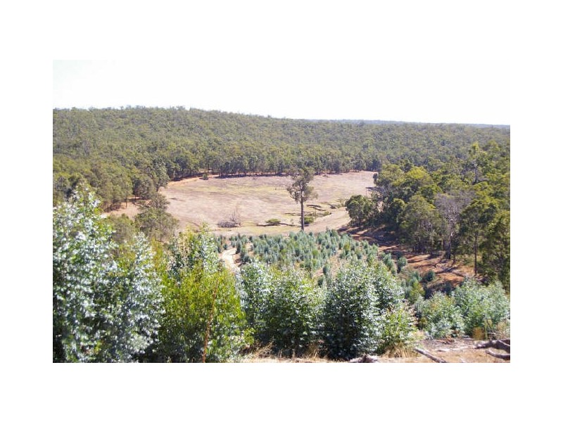 Lot 11173 Gold Gully Road, Nannup WA 6275