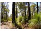 Lot 11173 Gold Gully Road, Nannup WA 6275
