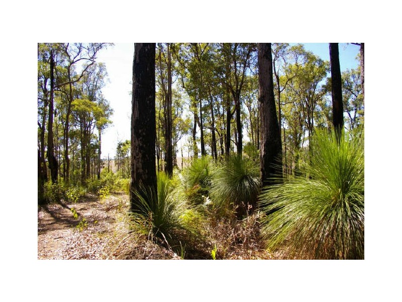 Lot 11173 Gold Gully Road, Nannup WA 6275