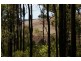 Lot 11173 Gold Gully Road, Nannup WA 6275