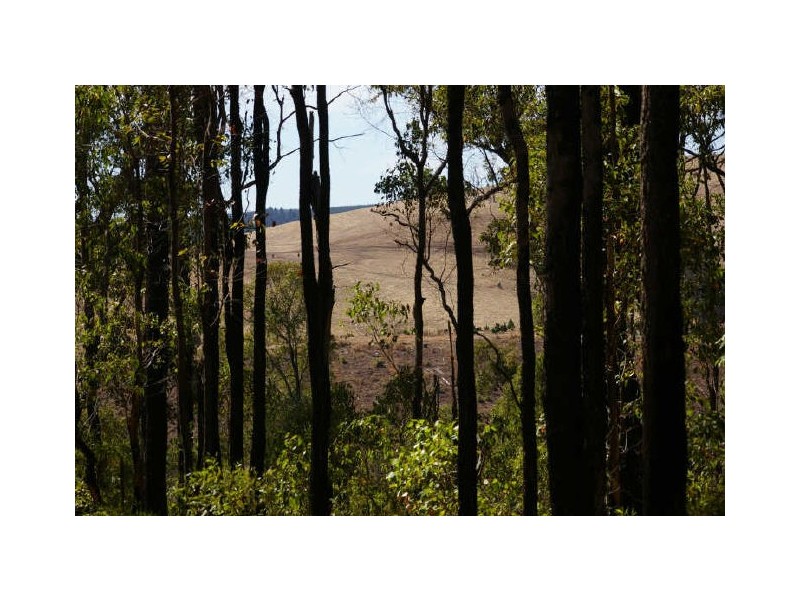 Lot 11173 Gold Gully Road, Nannup WA 6275