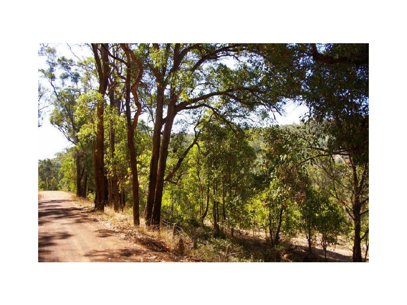 Lot 11173 Gold Gully Road, Nannup WA 6275