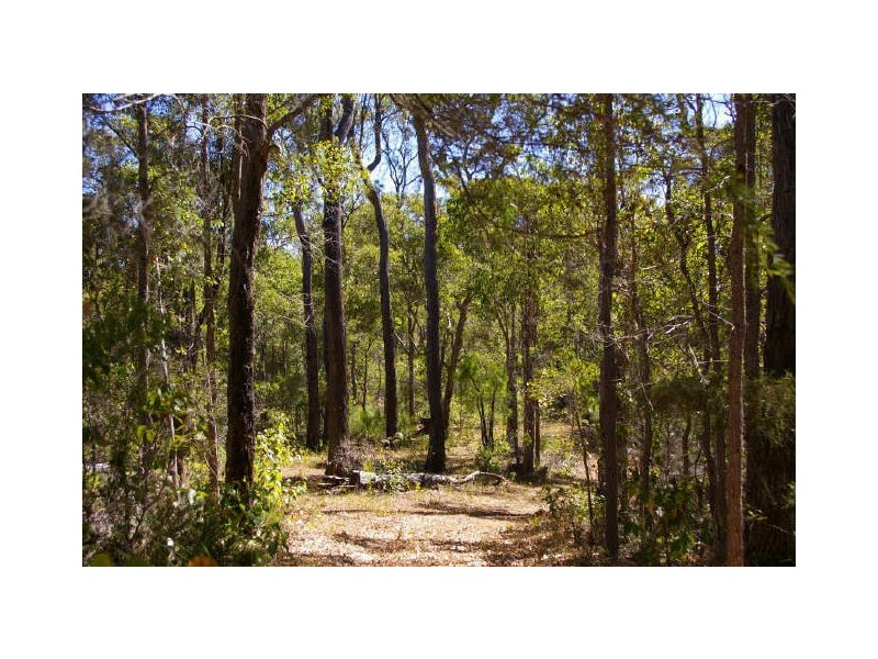 Lot 11173 Gold Gully Road, Nannup WA 6275