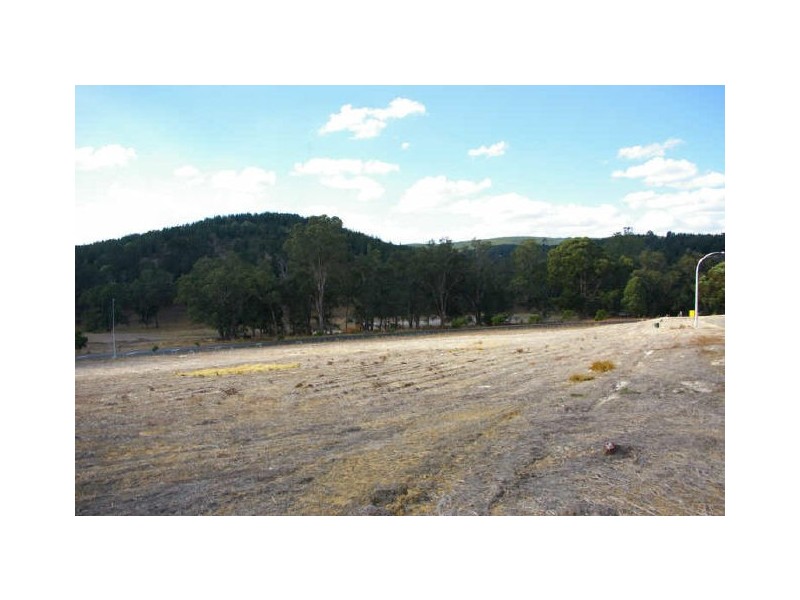 9 Hitchcock Drive, Nannup WA 6275