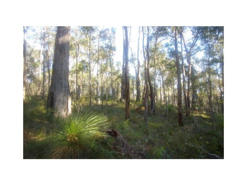 Lots/148 & 149 Struthers Street, Nannup WA 6275