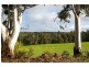 Lot 62 Thomas Road, Nannup WA 6275