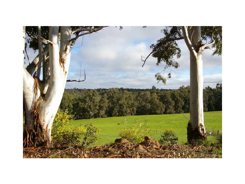 Lot 62 Thomas Road, Nannup WA 6275
