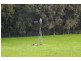 Lot 62 Thomas Road, Nannup WA 6275