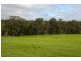 Lot 62 Thomas Road, Nannup WA 6275