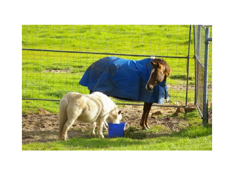 Lot 62 Thomas Road, Nannup WA 6275