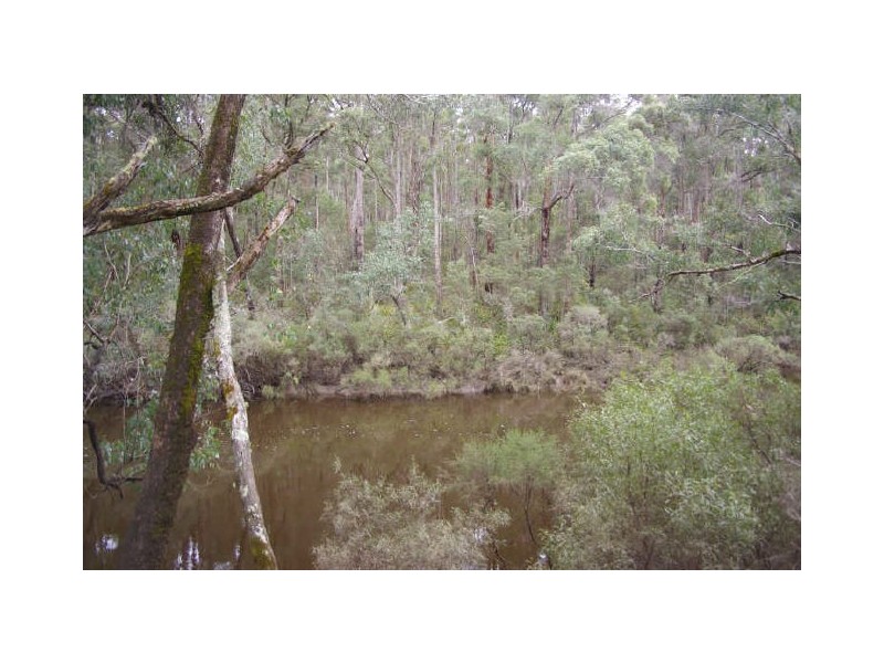 Loc 8536 Brockman Highway, Nannup WA 6275