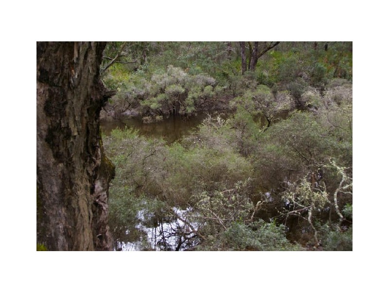 Loc 8536 Brockman Highway, Nannup WA 6275