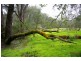 Loc 8536 Brockman Highway, Nannup WA 6275