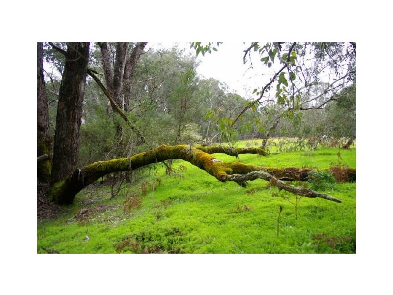 Loc 8536 Brockman Highway, Nannup WA 6275