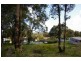 Lot 10 Warren Road, Nannup WA 6275
