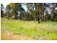 Lot 10 Warren Road, Nannup WA 6275