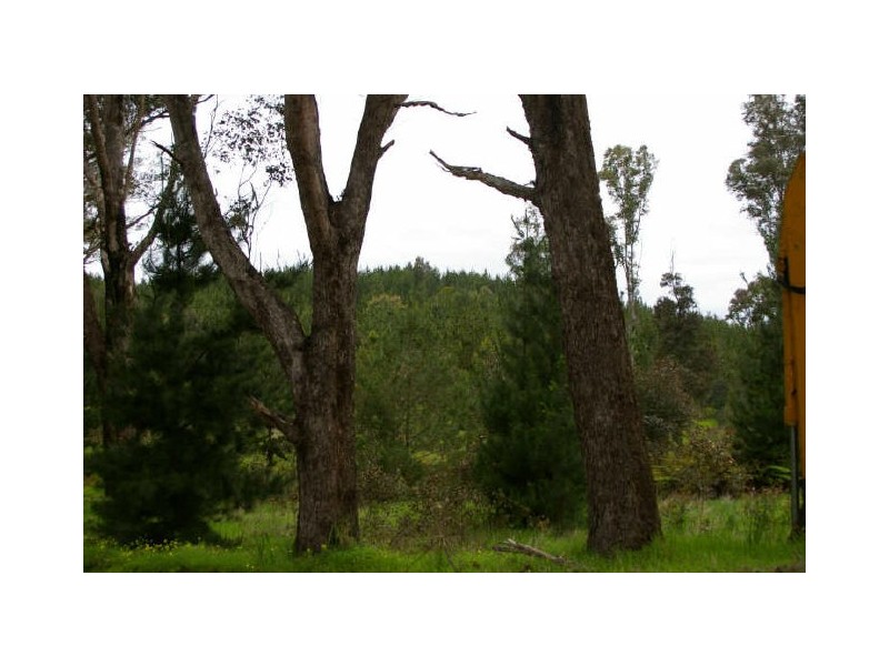 Lot 500 Brockman Hwy, Nannup WA 6275