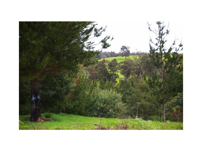 Lot 500 Brockman Hwy, Nannup WA 6275