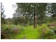 Lot 500 Brockman Hwy, Nannup WA 6275