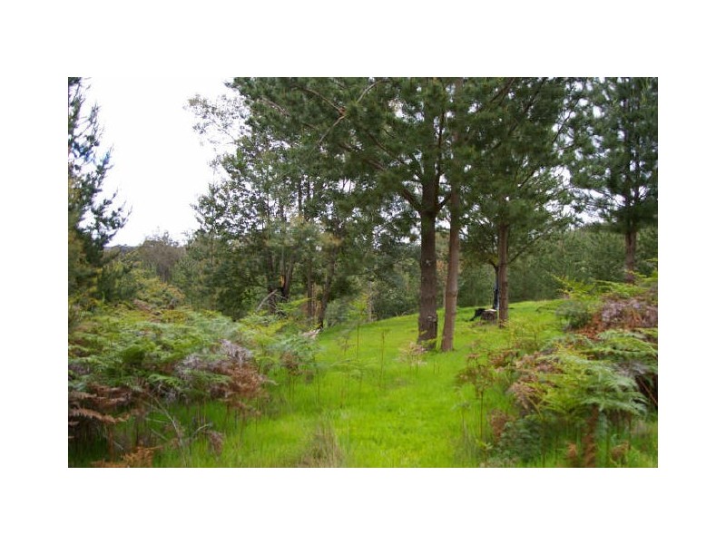 Lot 500 Brockman Hwy, Nannup WA 6275