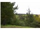 Lot 500 Brockman Hwy, Nannup WA 6275