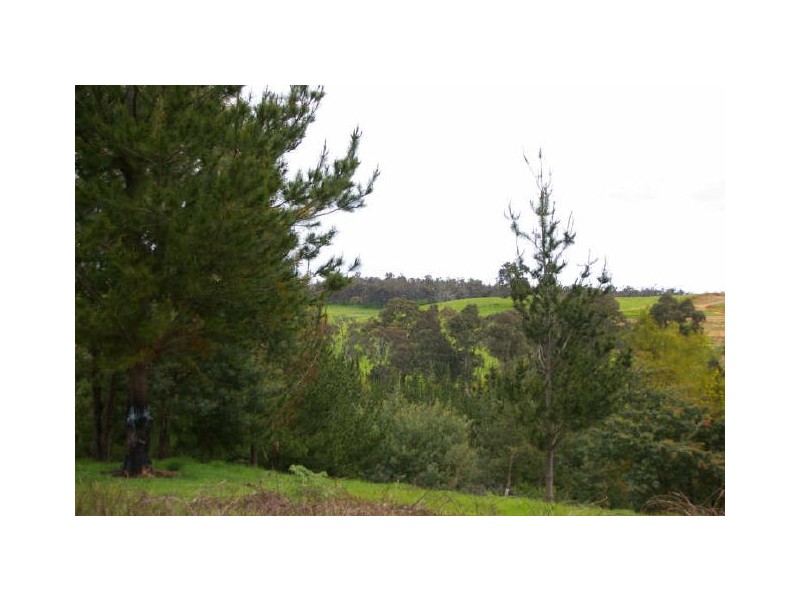 Lot 500 Brockman Hwy, Nannup WA 6275