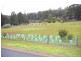 Lot 1 Griffiths Rd, Nannup WA 6275