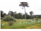 Lot 1 Griffiths Rd, Nannup WA 6275