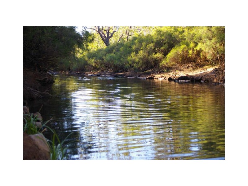 Lot 3849 Longbottom Road, Nannup WA 6275