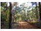 Lot 3849 Longbottom Road, Nannup WA 6275