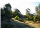 Lot 3849 Longbottom Road, Nannup WA 6275