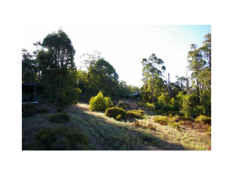 Lot 3849 Longbottom Road, Nannup WA 6275