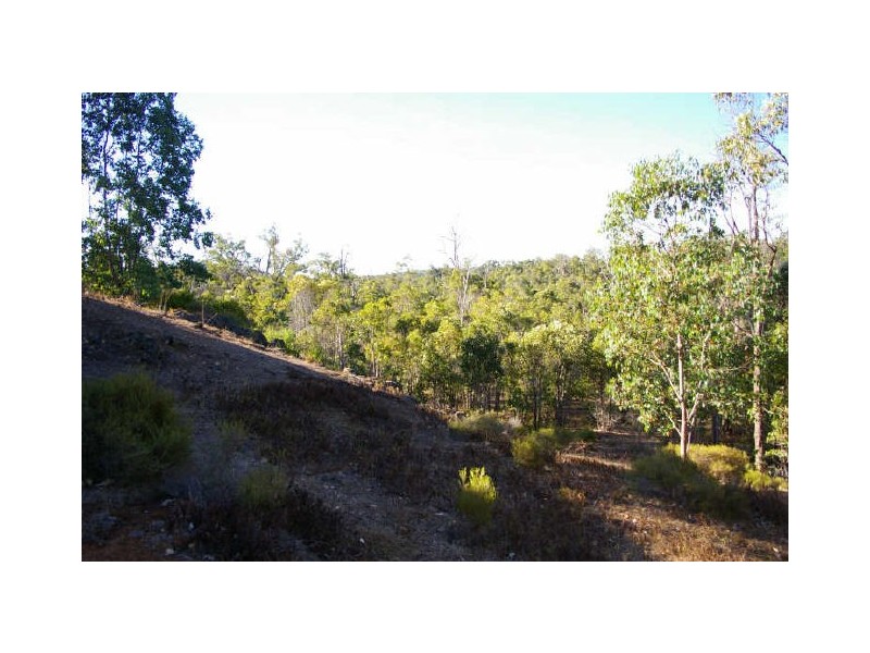 Lot 3849 Longbottom Road, Nannup WA 6275