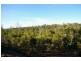 Lot 3849 Longbottom Road, Nannup WA 6275